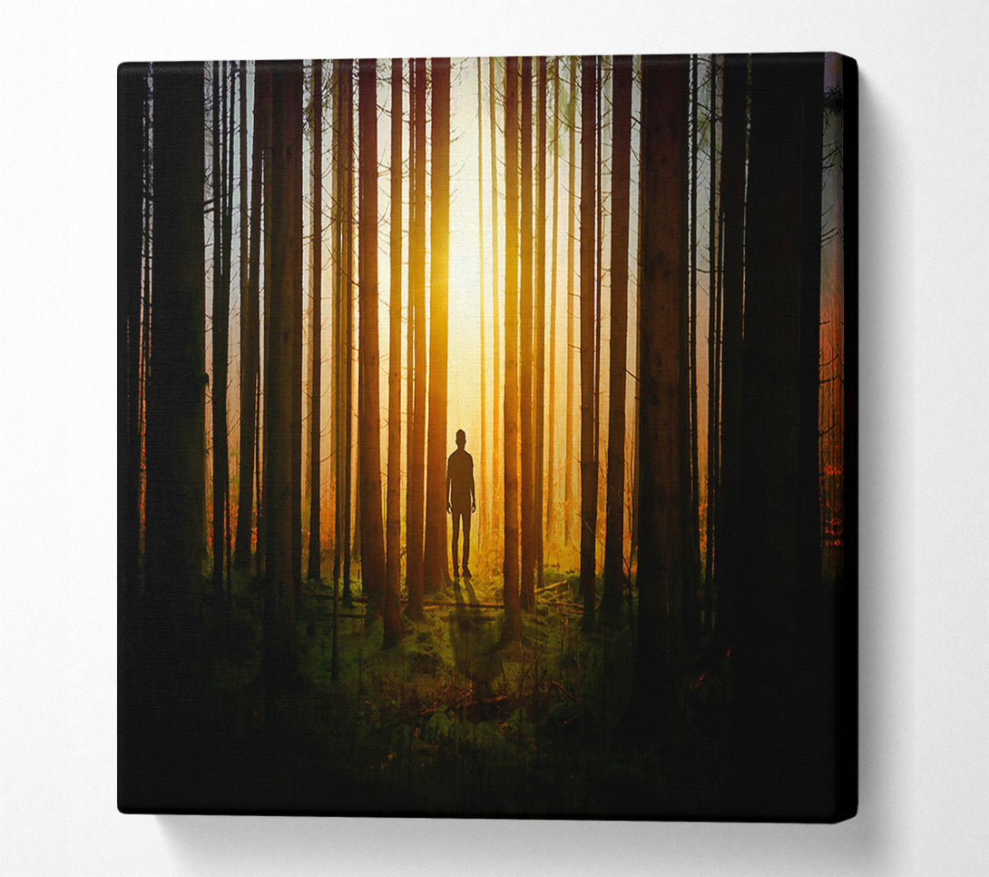  A Canvas Print of Golden Forest Silhouette Canvas Art