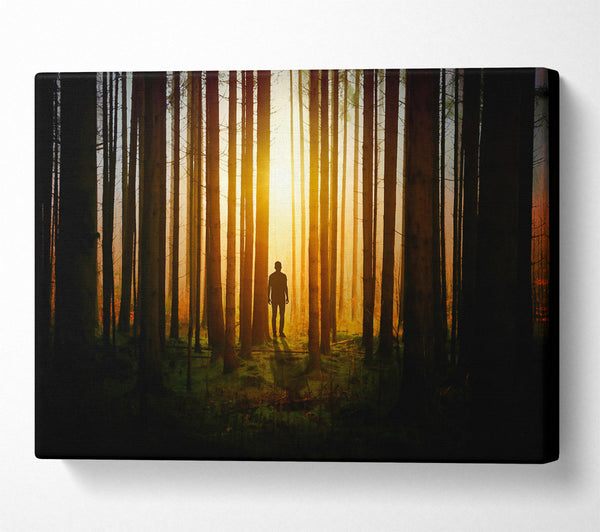  A Canvas Print of Golden Forest Silhouette Canvas Art