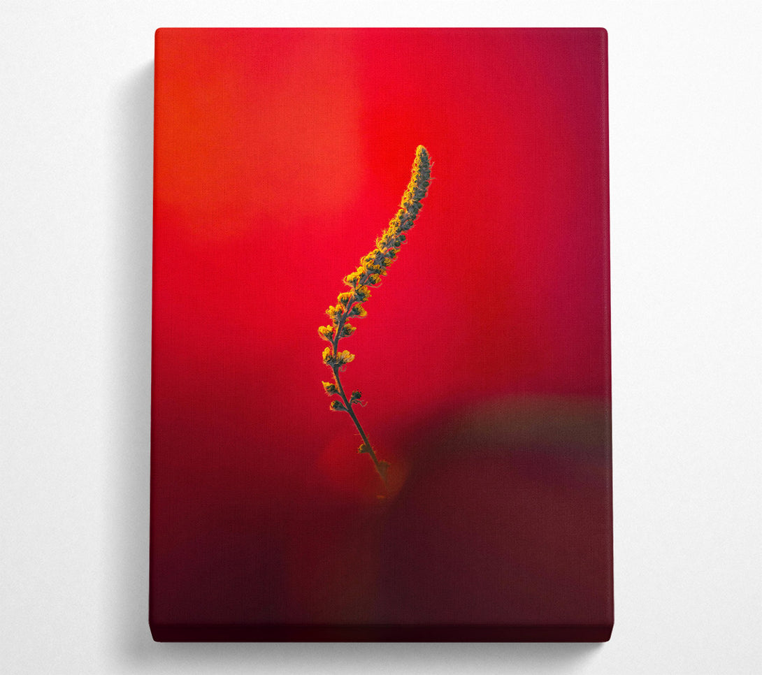  A Canvas Print of Crimson Bloom'S Embrace Canvas Wall Art