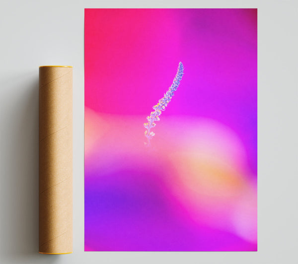 Pink Stem Silhouette Print