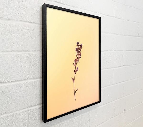 Pale Yellow Bloom