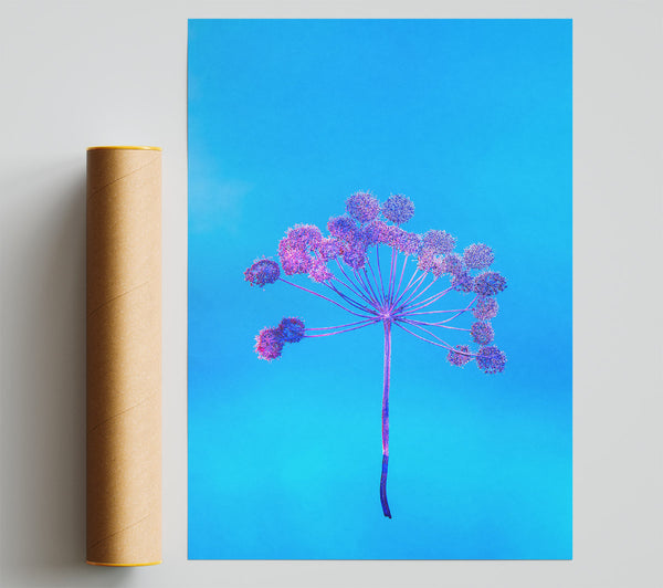 Blue & Purple Bloom Print