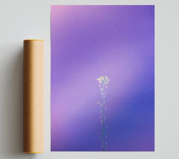 Purple Bloom Alone Poster