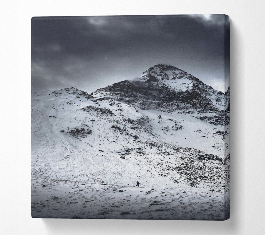  A Canvas Print of Grey Mountain Solitude Canvas Art