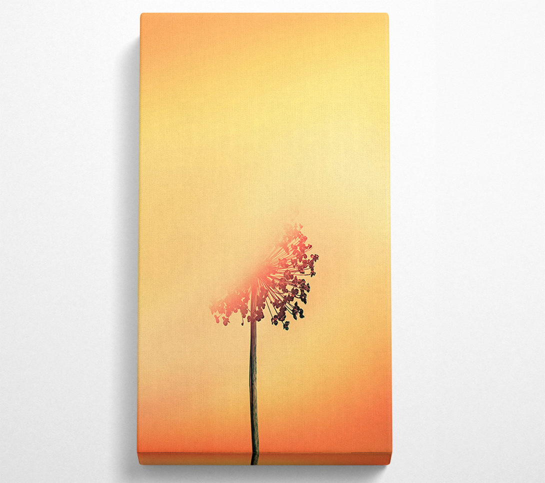  A Canvas Print of Golden Bloom Silhouette Canvas Print