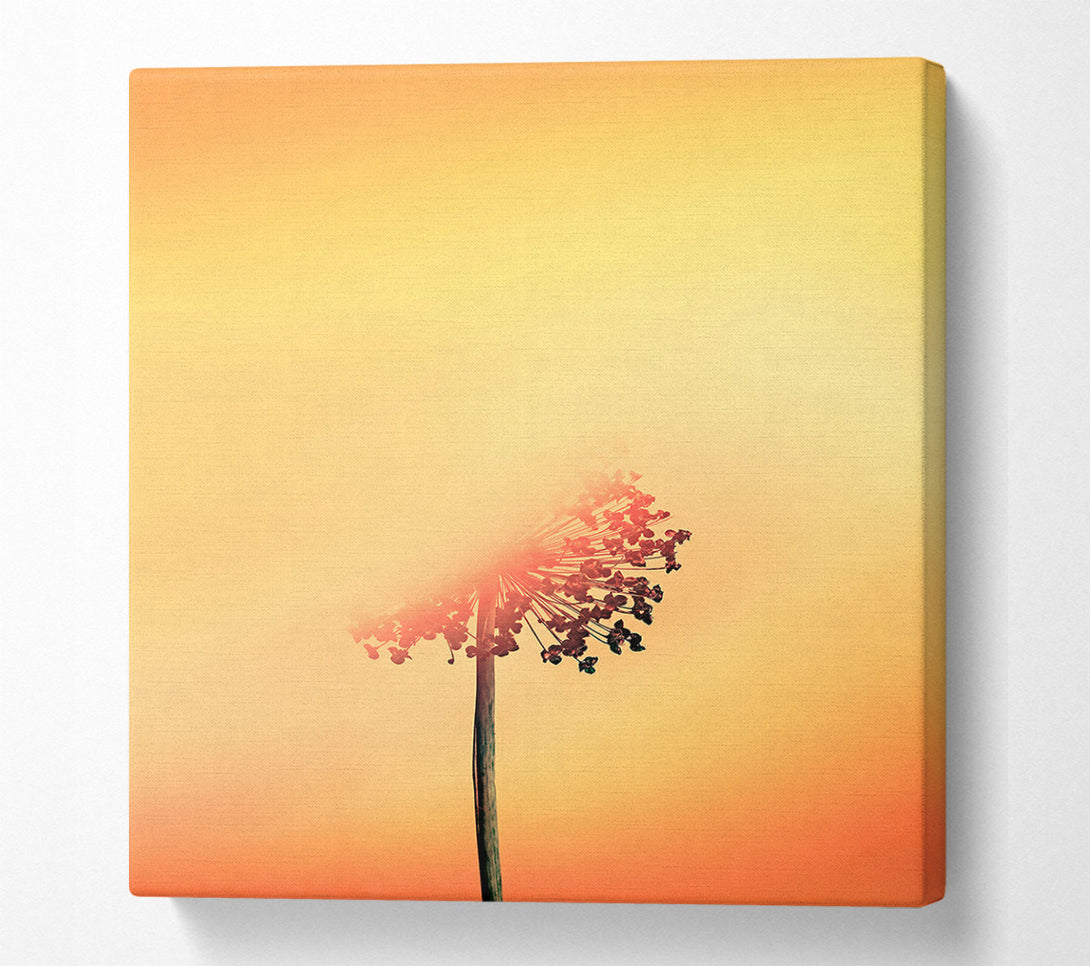  A Canvas Print of Golden Bloom Silhouette Canvas Print