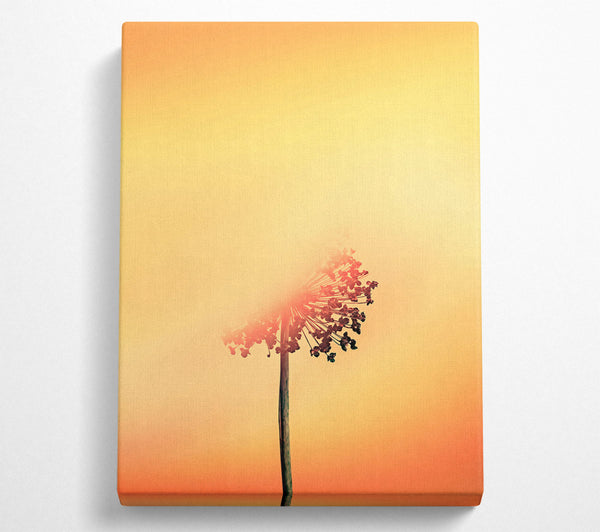  A Canvas Print of Golden Bloom Silhouette Canvas Print