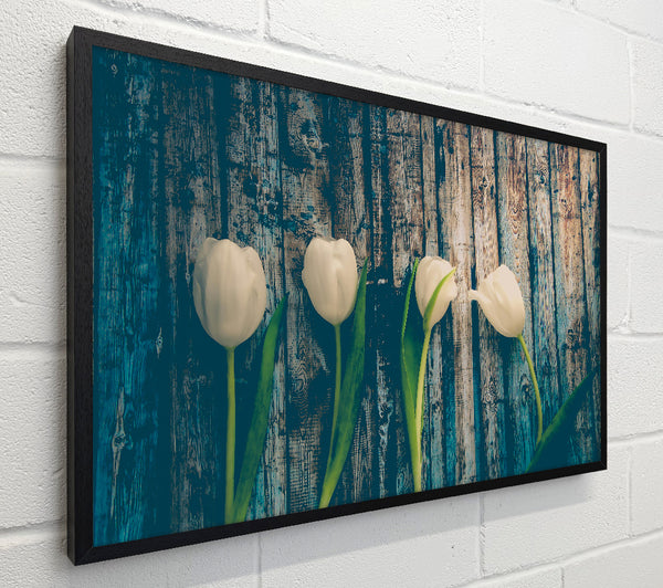 White Tulips On Teal Wood