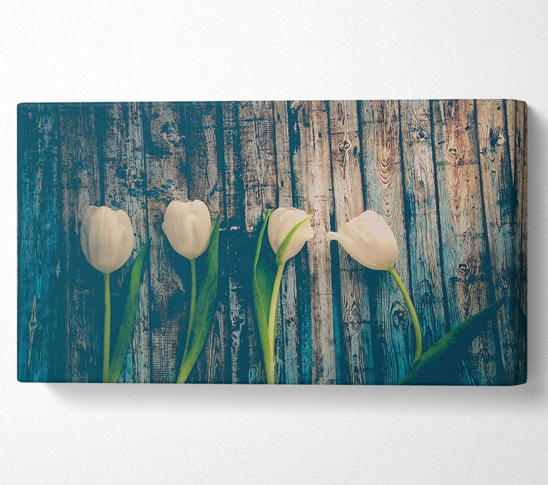  A Canvas Print of White Tulips On Teal Wood Canvas Wall Art