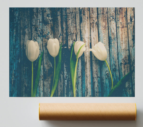 White Tulips On Teal Wood Print