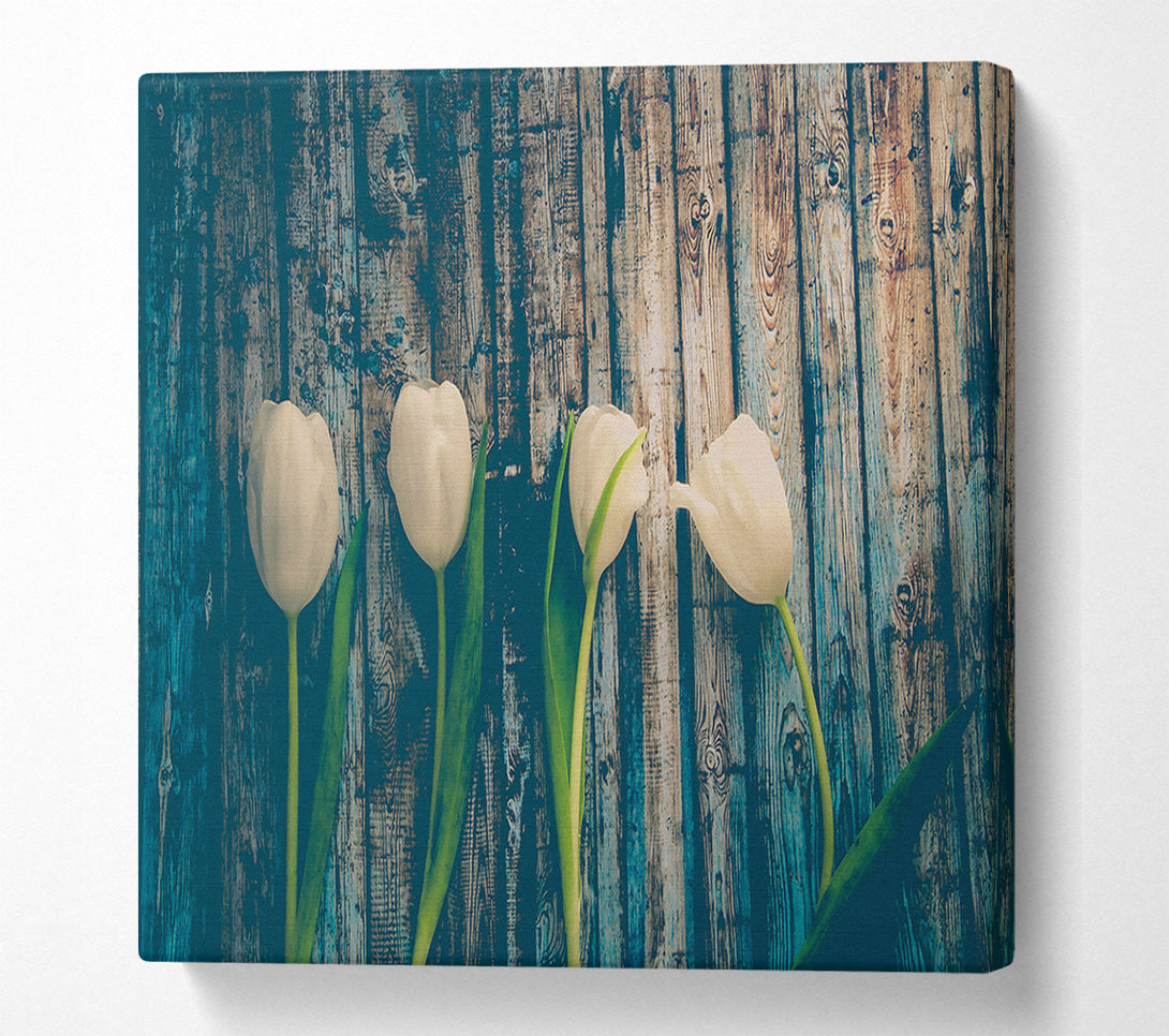  A Canvas Print of White Tulips On Teal Wood Canvas Wall Art
