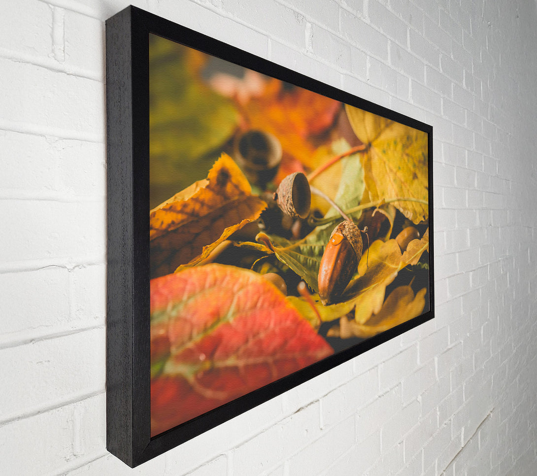  A Canvas Print of Golden Leaf Acorn Canvas Art