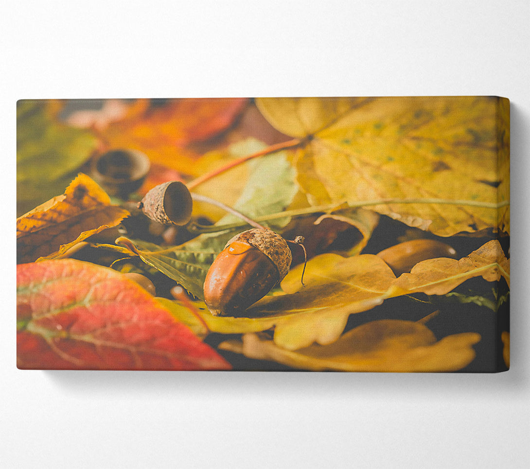  A Canvas Print of Golden Leaf Acorn Canvas Art