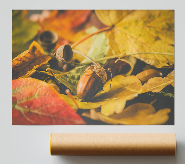 Golden Leaf Acorn Giclee Print
