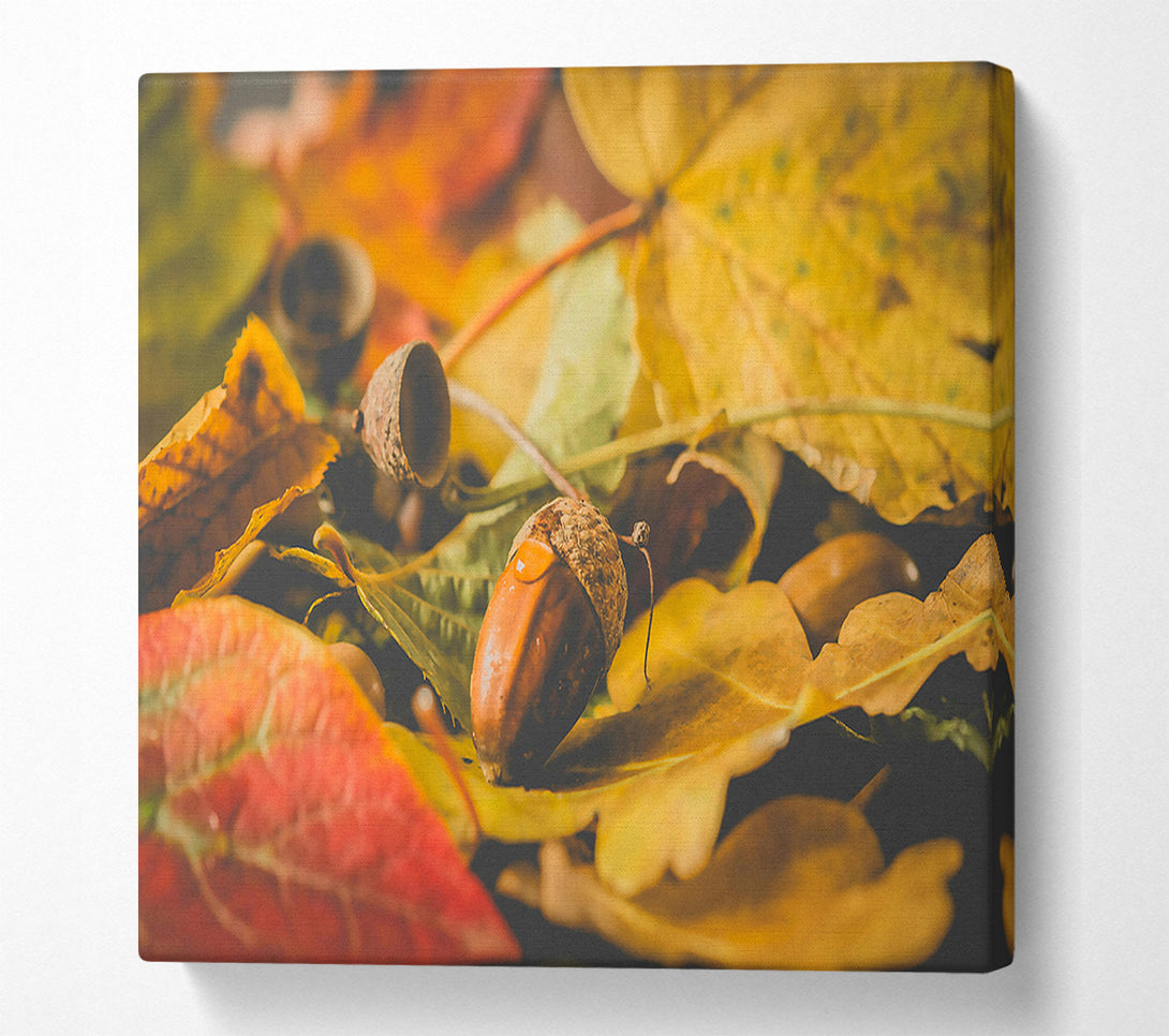  A Canvas Print of Golden Leaf Acorn Canvas Art