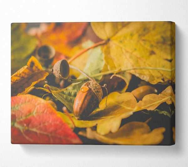  A Canvas Print of Golden Leaf Acorn Canvas Art