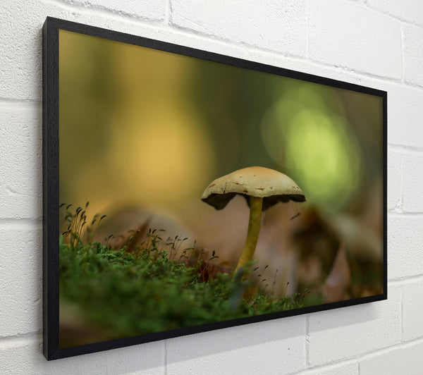Green Moss Mushroom