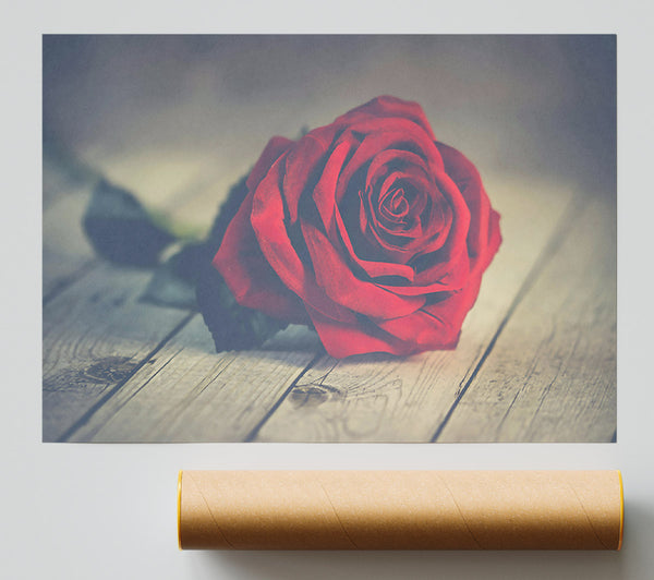 Crimson Rose On Wood Print