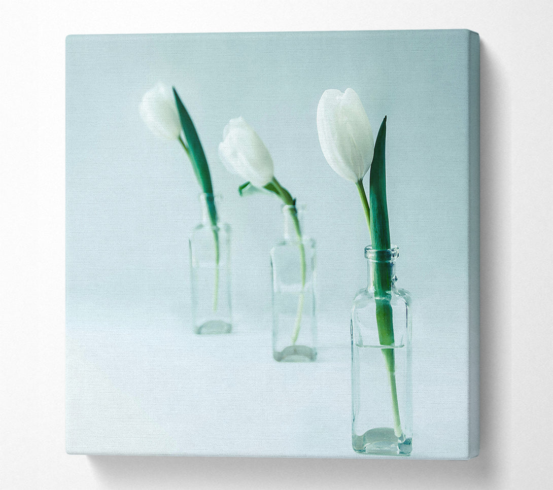  A Canvas Print of Pale Blue Tulips Canvas Print