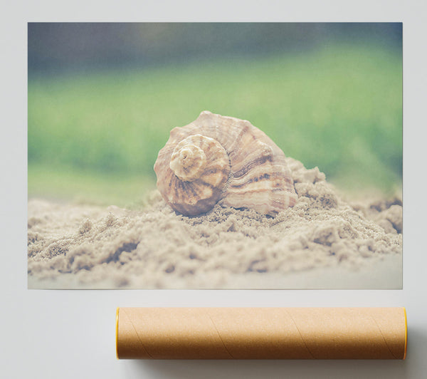 The Brown Seashell Giclee Print