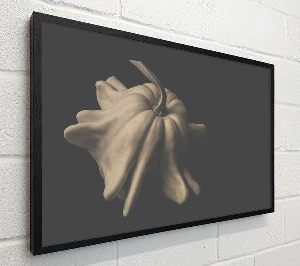 Pale Gourd Bloom