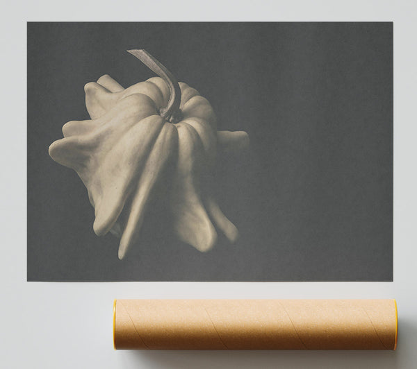 Pale Gourd Bloom Poster