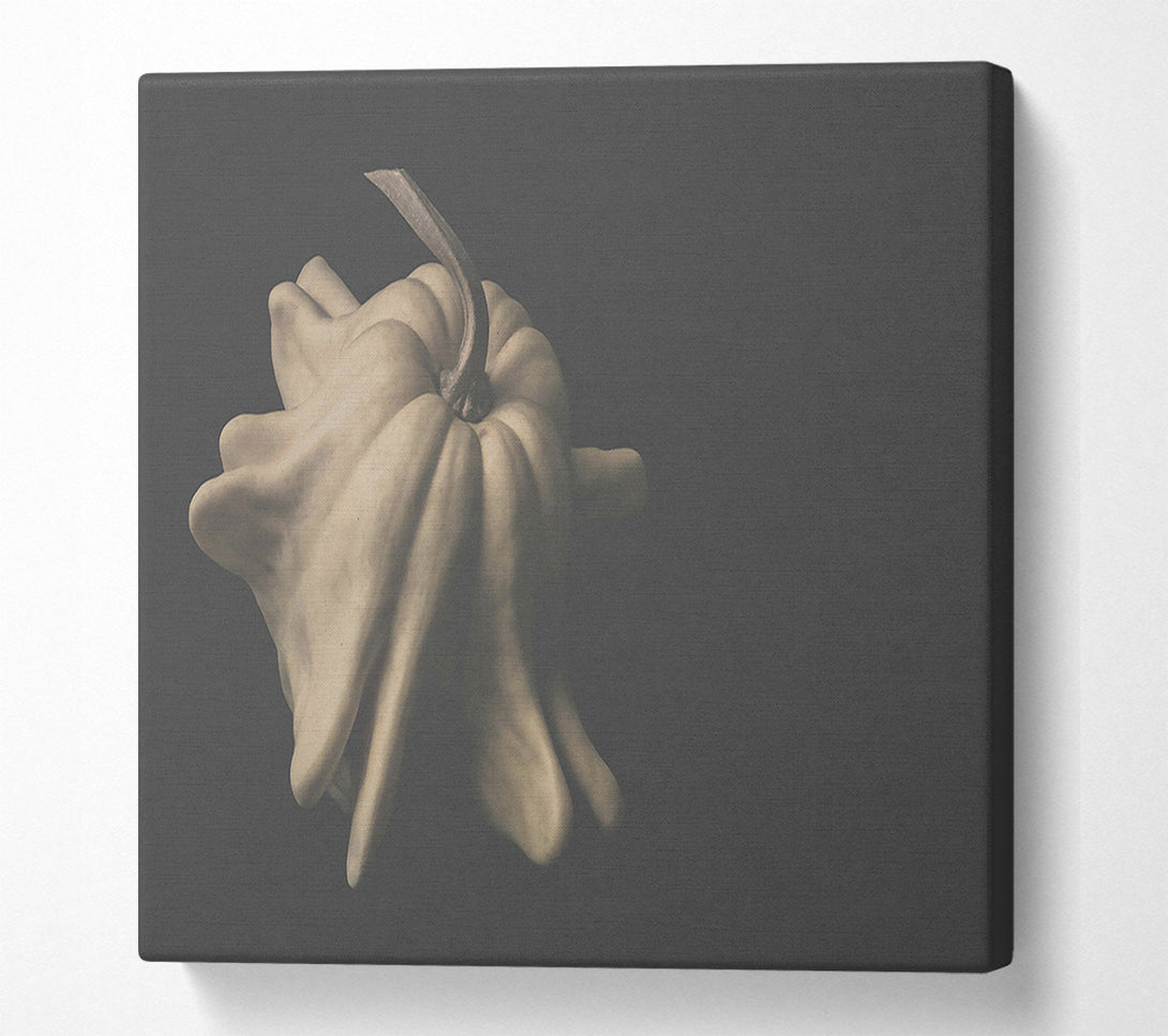  A Canvas Print of Pale Gourd Bloom Canvas Art