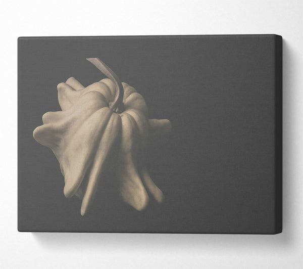  A Canvas Print of Pale Gourd Bloom Canvas Art