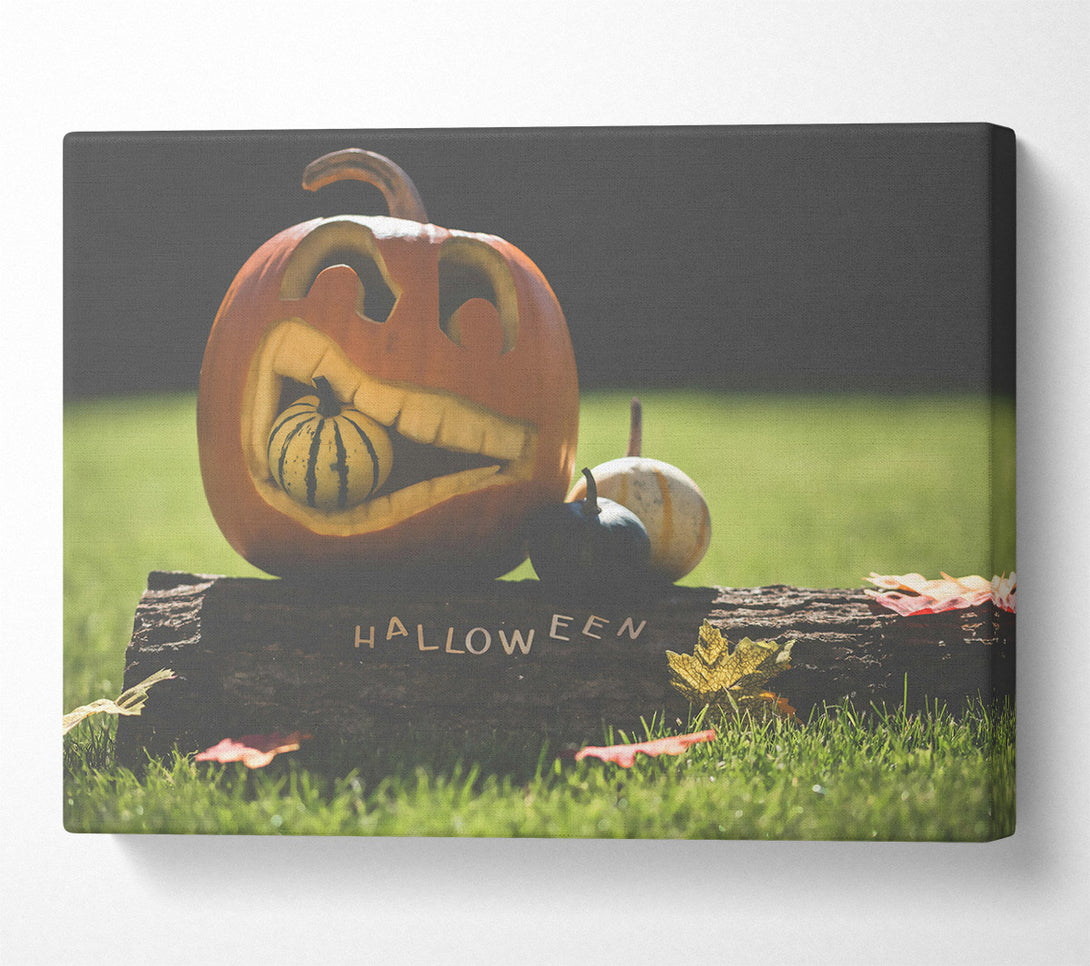  A Canvas Print of Orange Pumpkin Smile Canvas Print