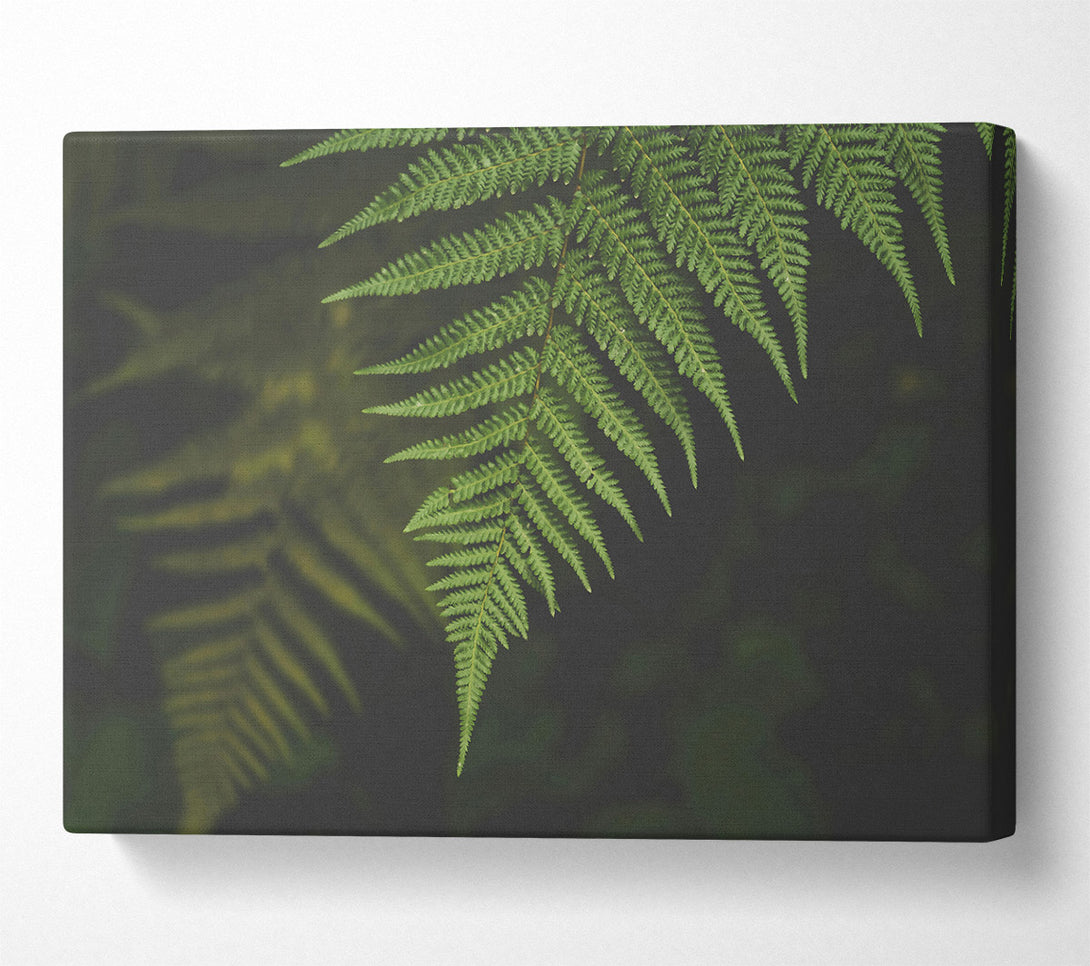  A Canvas Print of Emerald Fern Frond Canvas Wall Art
