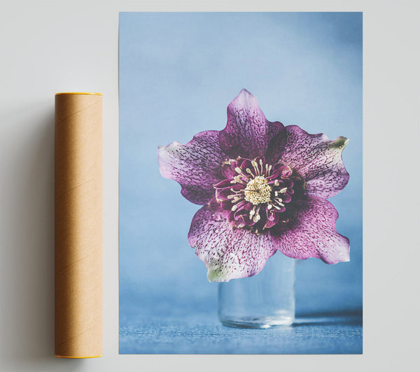Pink Flower Bloom Giclee Print