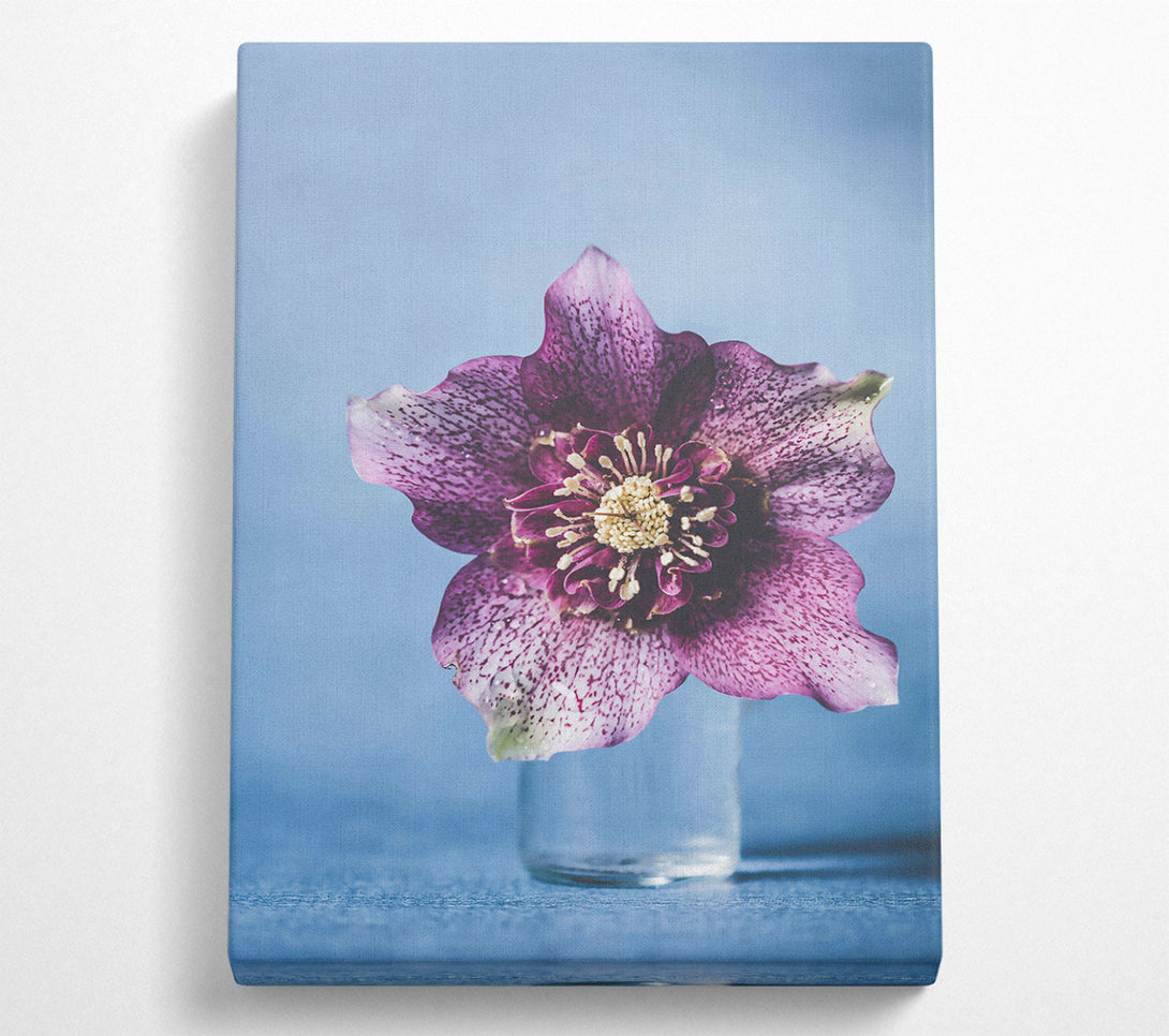  A Canvas Print of Pink Flower Bloom Canvas Art