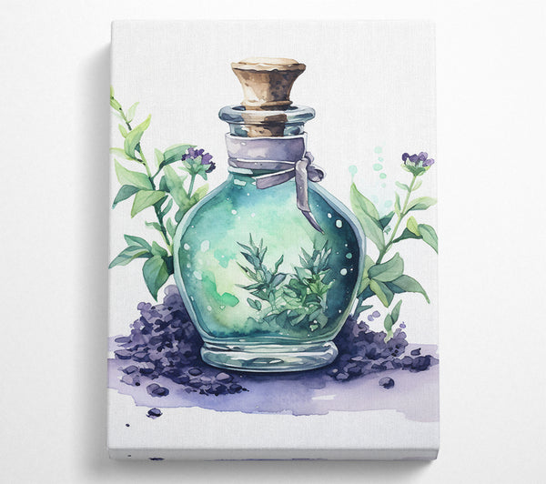  A Canvas Print of Sage Potion Watercolour Canvas Art