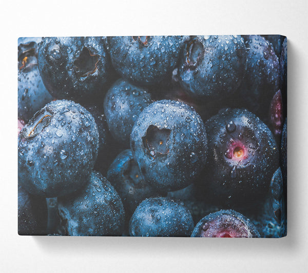  A Canvas Print of Indigo Blueberry Drops Canvas Print