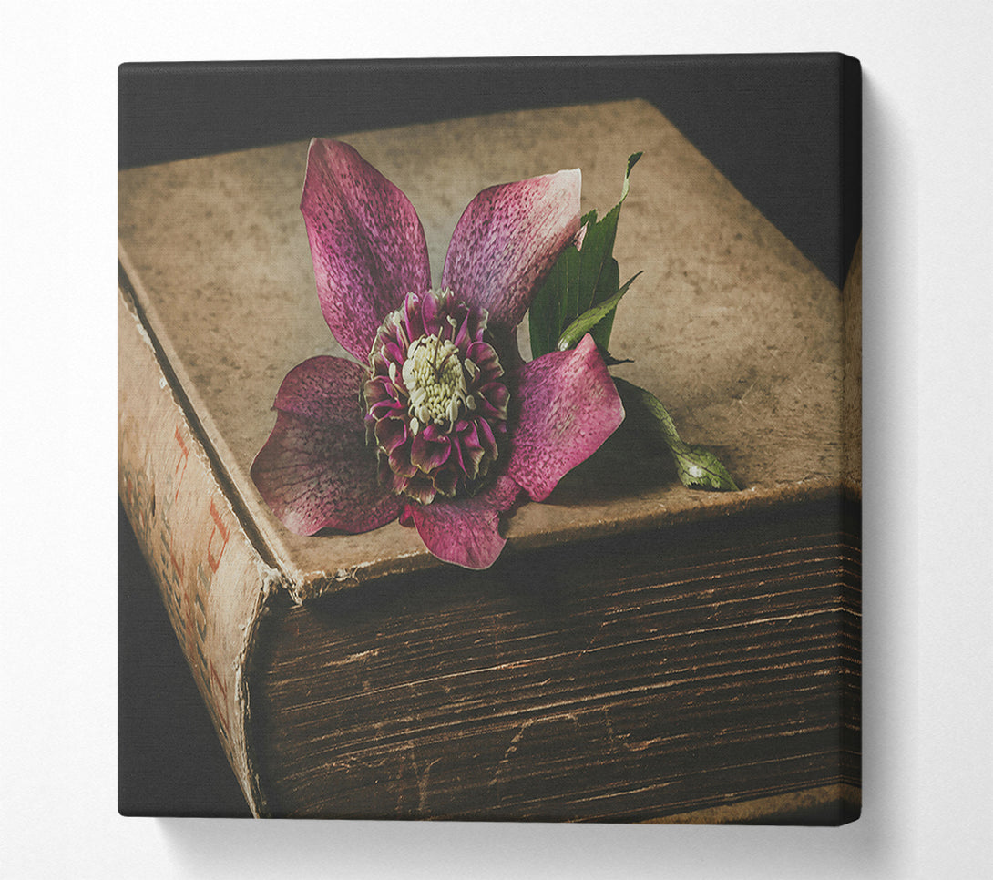  A Canvas Print of Crimson Bloom On Old Book Canvas Wall Art