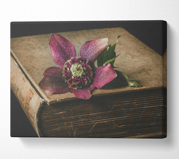  A Canvas Print of Crimson Bloom On Old Book Canvas Wall Art