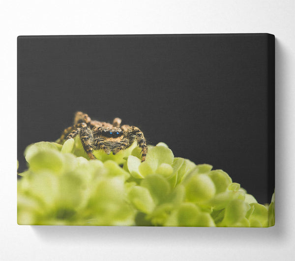  A Canvas Print of Green Flower Hunter Canvas Art