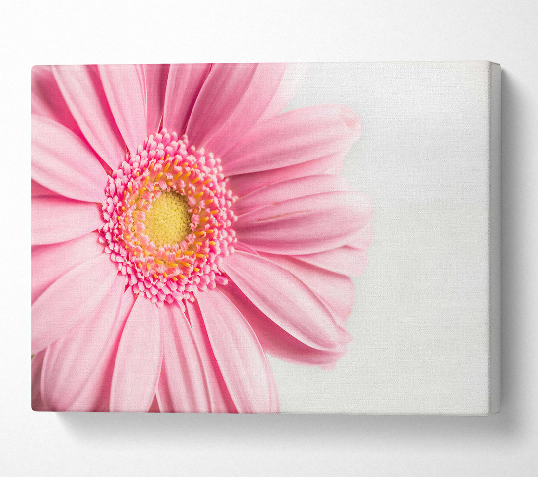  A Canvas Print of Pink Flower Bloom Canvas Art