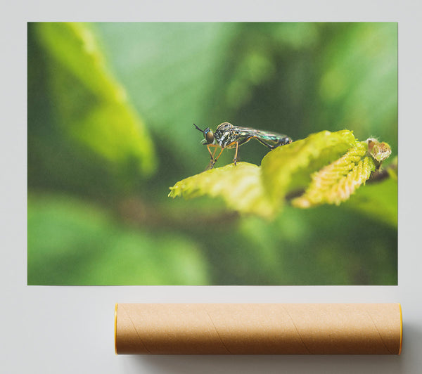 Green Leaf Stalker Giclee Print