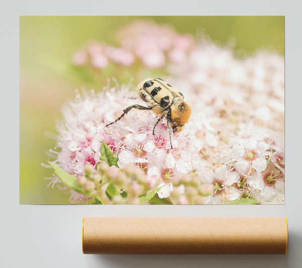 Pink & Yellow Bloom Giclee Print