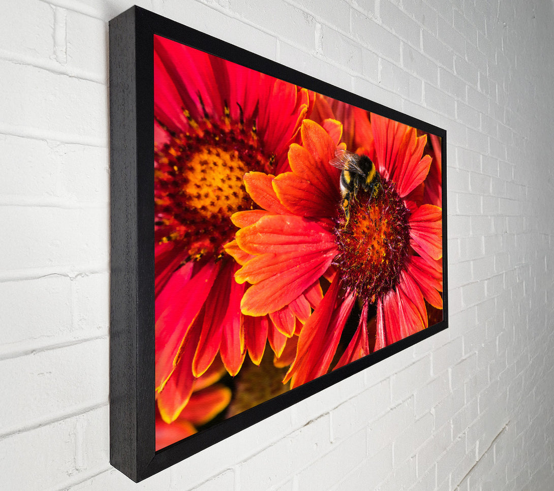  A Canvas Print of Crimson Pollen Dance Canvas Wall Art
