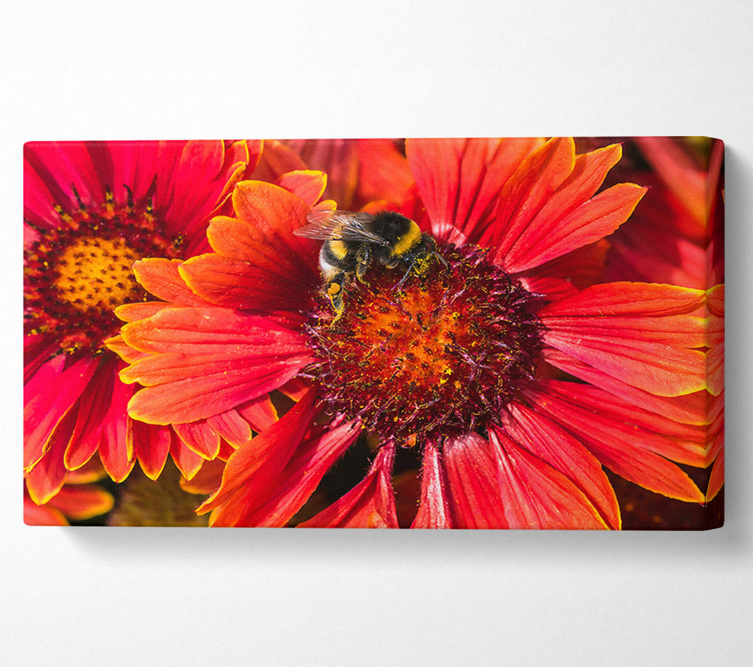  A Canvas Print of Crimson Pollen Dance Canvas Wall Art