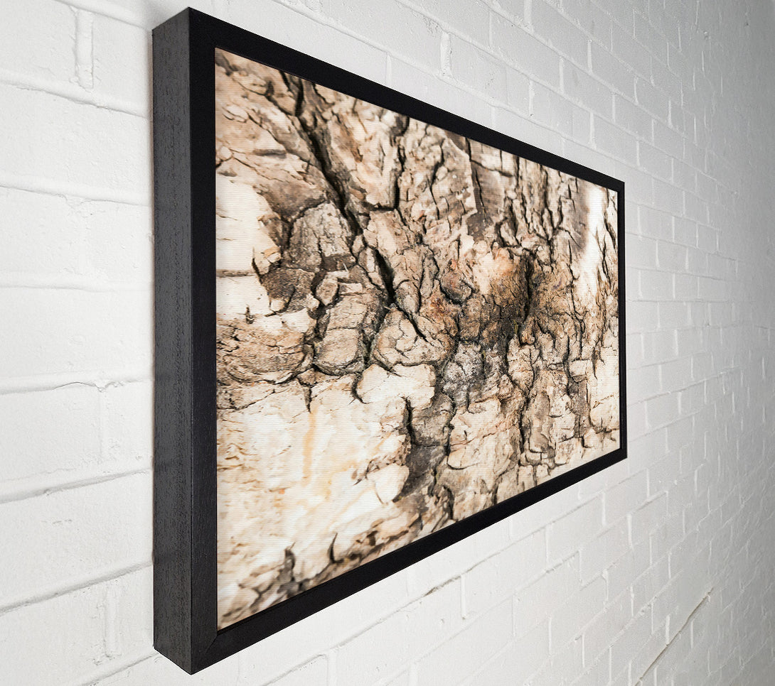 A Canvas Print of Cracked Bark Beige Canvas Art