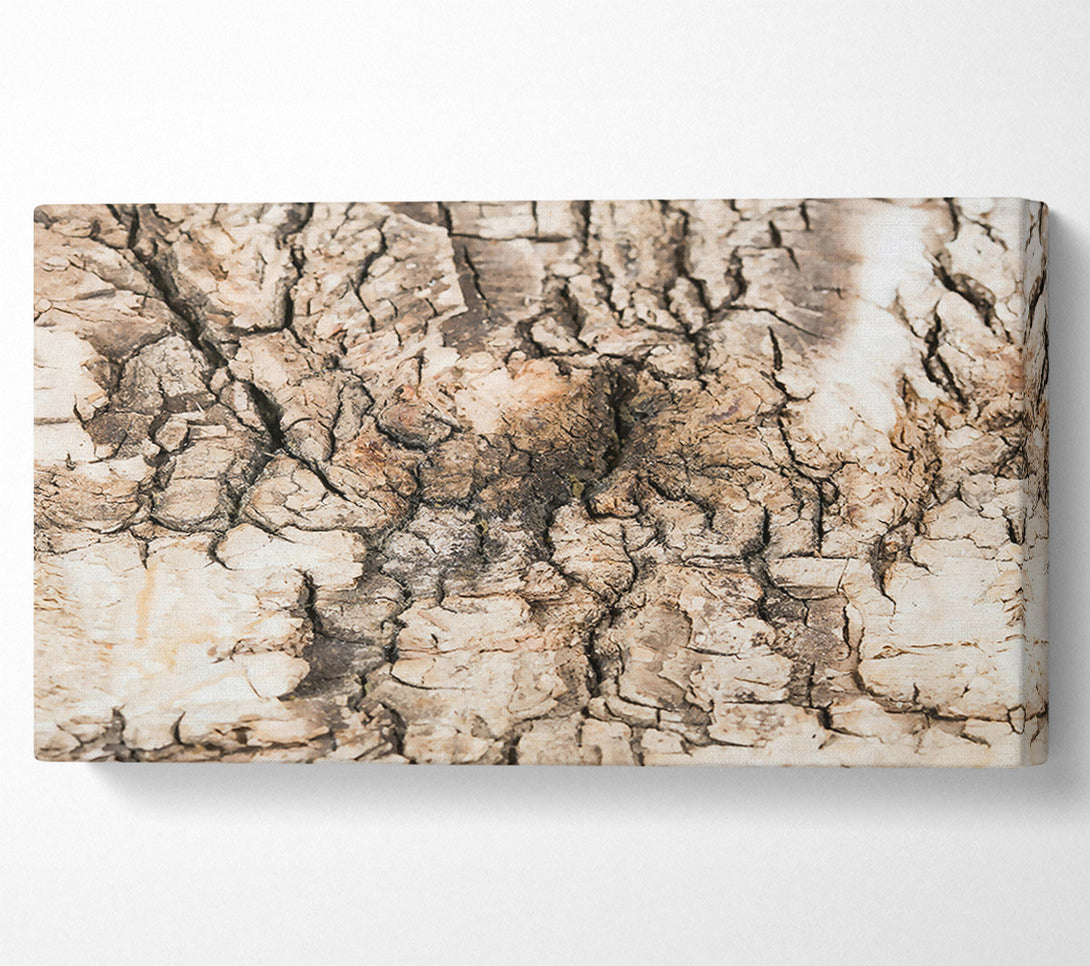  A Canvas Print of Cracked Bark Beige Canvas Art