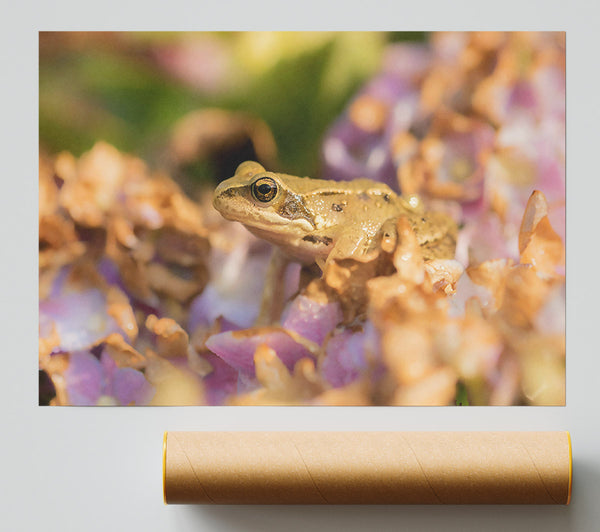 Golden Frog On Purple Print