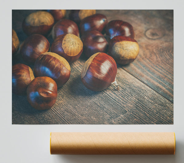 Brown Chestnut Harvest Giclee Print