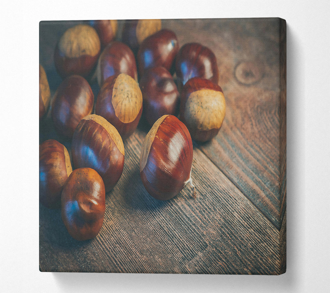  A Canvas Print of Brown Chestnut Harvest Canvas Print