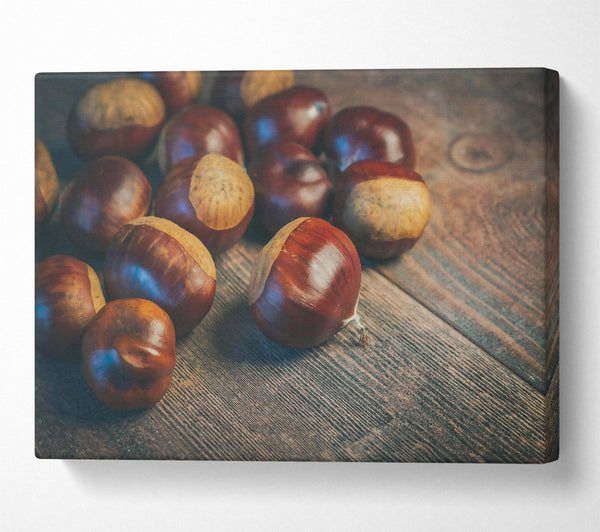  A Canvas Print of Brown Chestnut Harvest Canvas Print