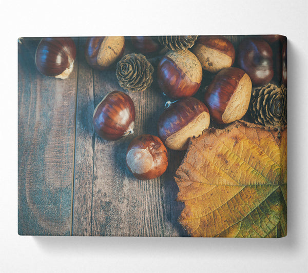  A Canvas Print of Brown Autumn Treasures Canvas Wall Art