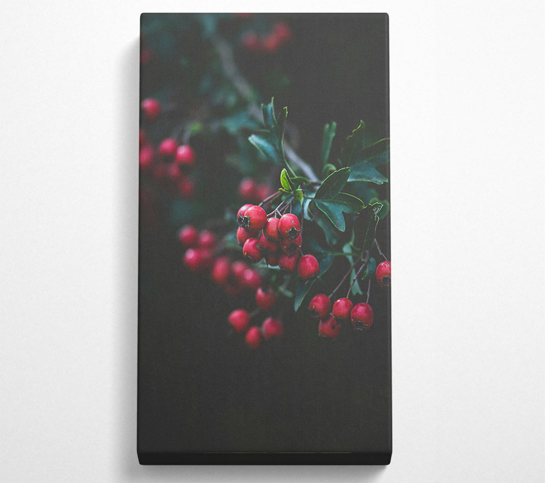  A Canvas Print of Crimson Berries' Bloom Canvas Print
